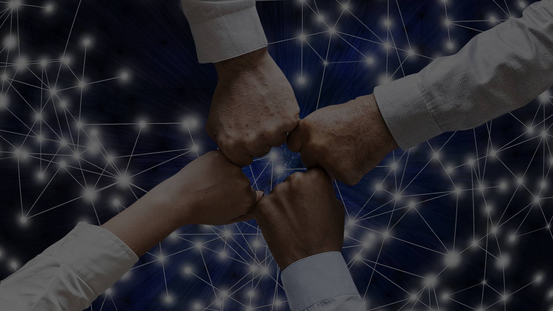 I nostri Partner